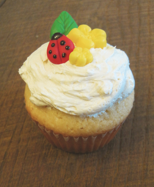 Ladybug cupcake