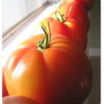 TomatoesInSill3