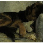 sleepyjack