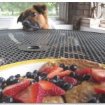 Jack & pancakes