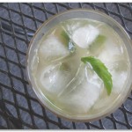 Mint Julep