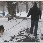 Snow Day Walk