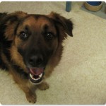 Smiling Jack in Kitchen