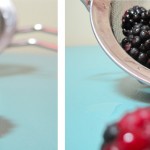 Berry Combo