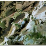 Kale Chips 1