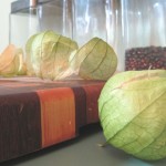 Sweet salsa verde tomatillos